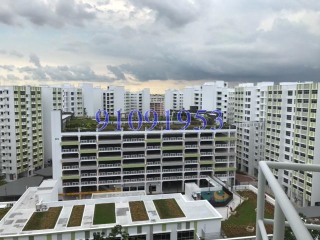 Blk 455 Dew Spring @ Yishun (Yishun), HDB 3 Rooms #155646092